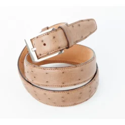 Pasek damski / męski Struś CS